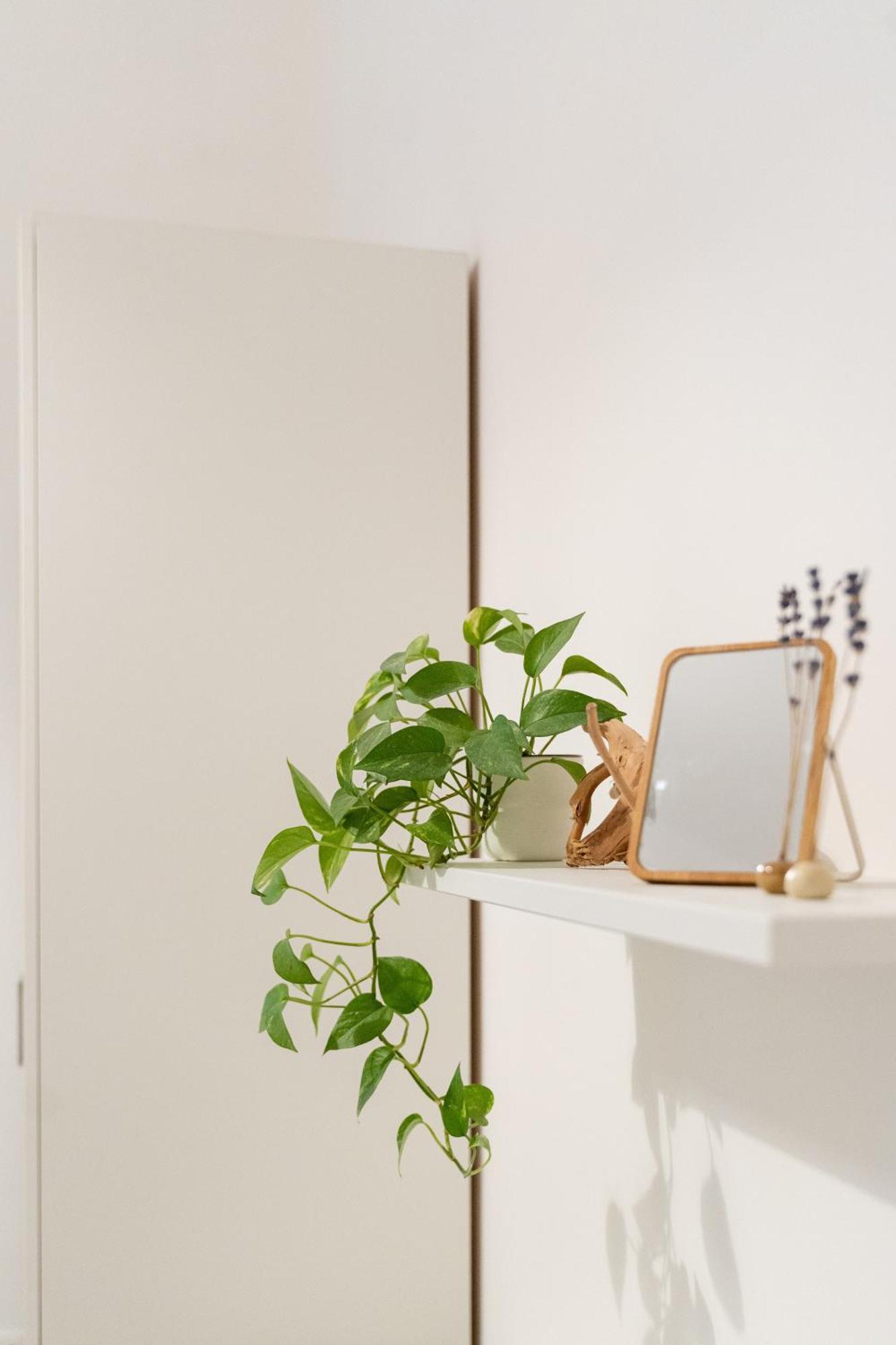 Niu Lux Apartments Генуа Екстериор снимка